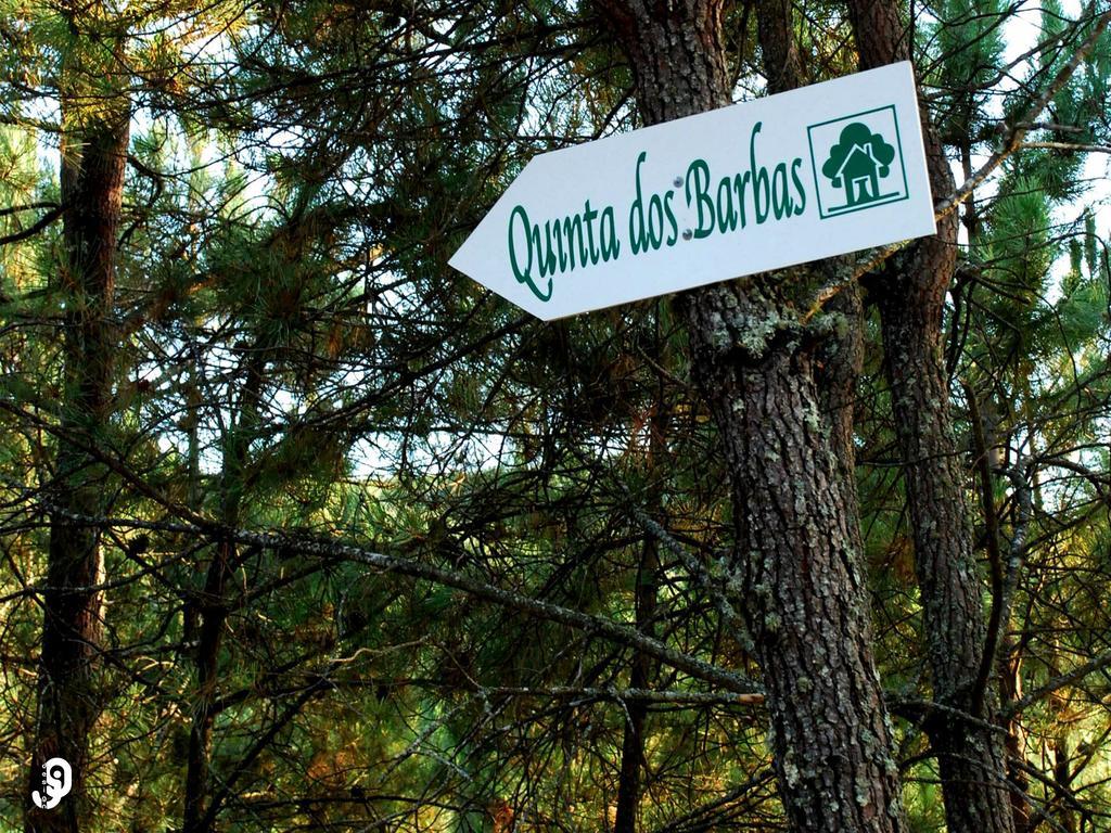 Quinta Dos Barbas Guest House Оливейра ду Оспитал Екстериор снимка